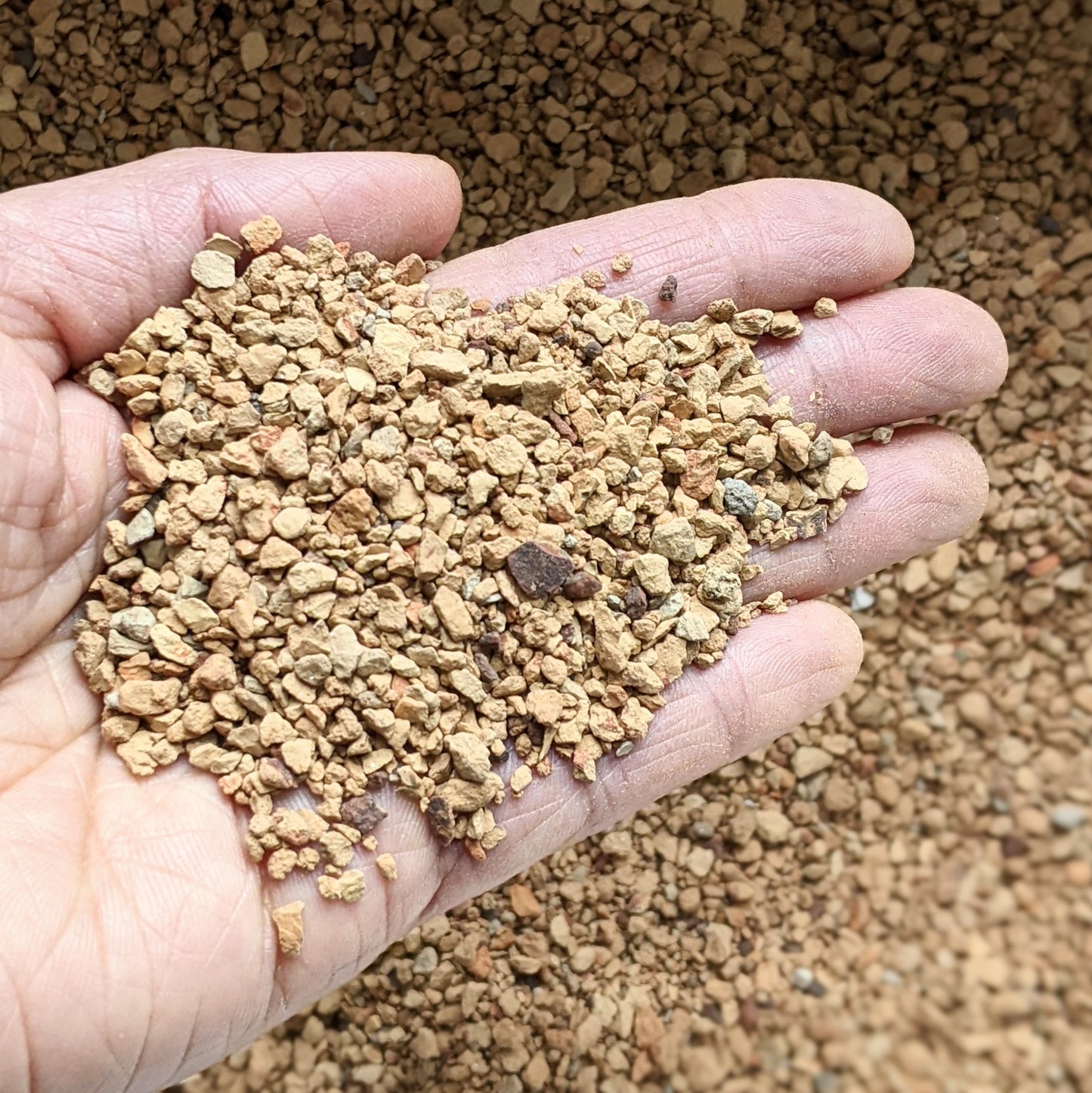 Close-up of calcined clay held in a person's hand, showcasing its texture and granules.