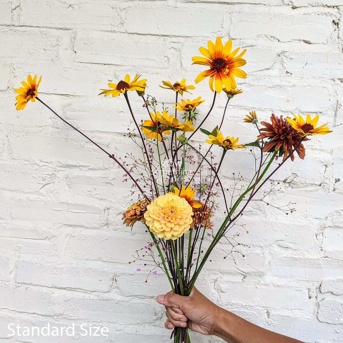 Flower Subscription Service