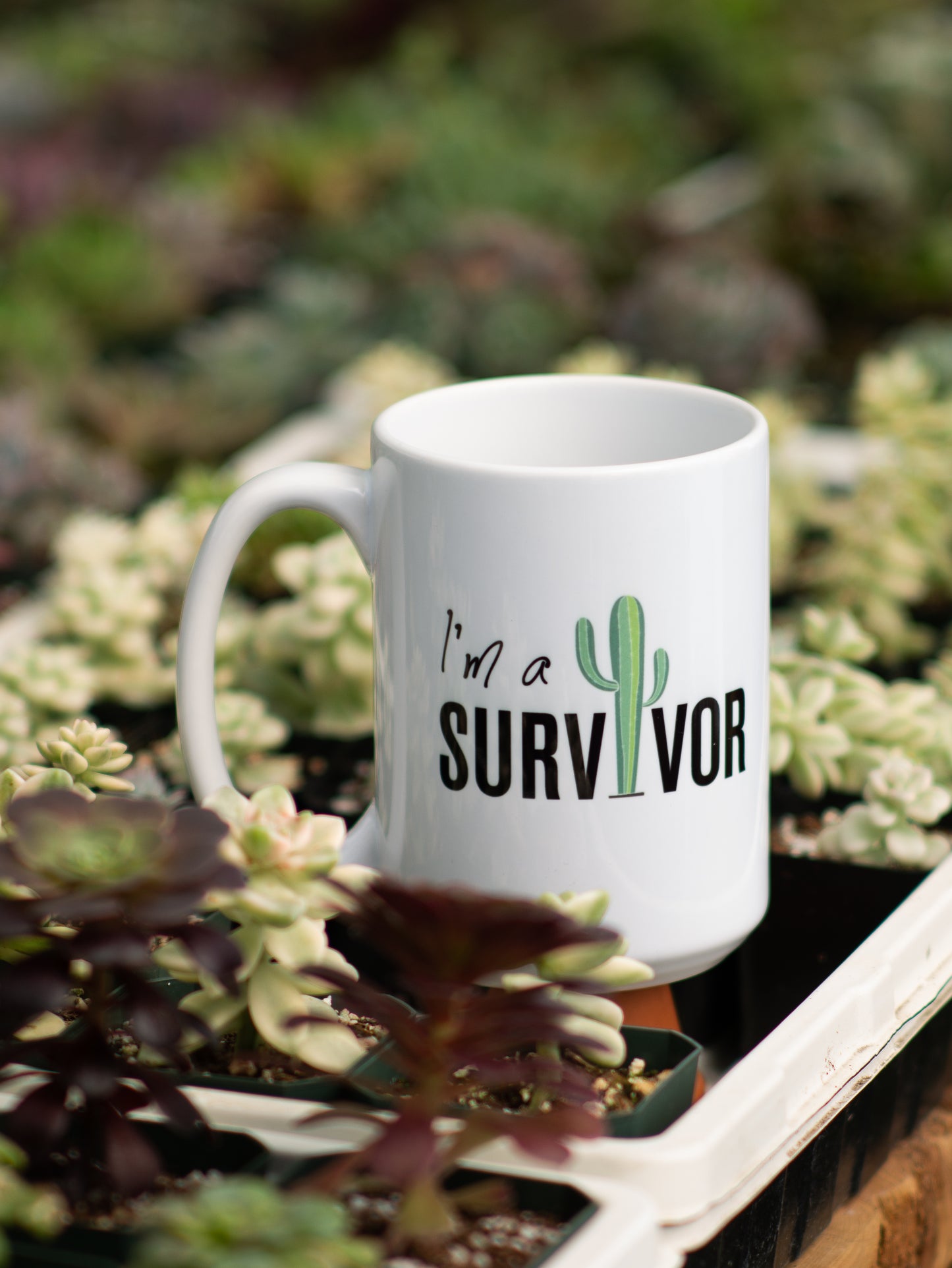 I'm a Survivor