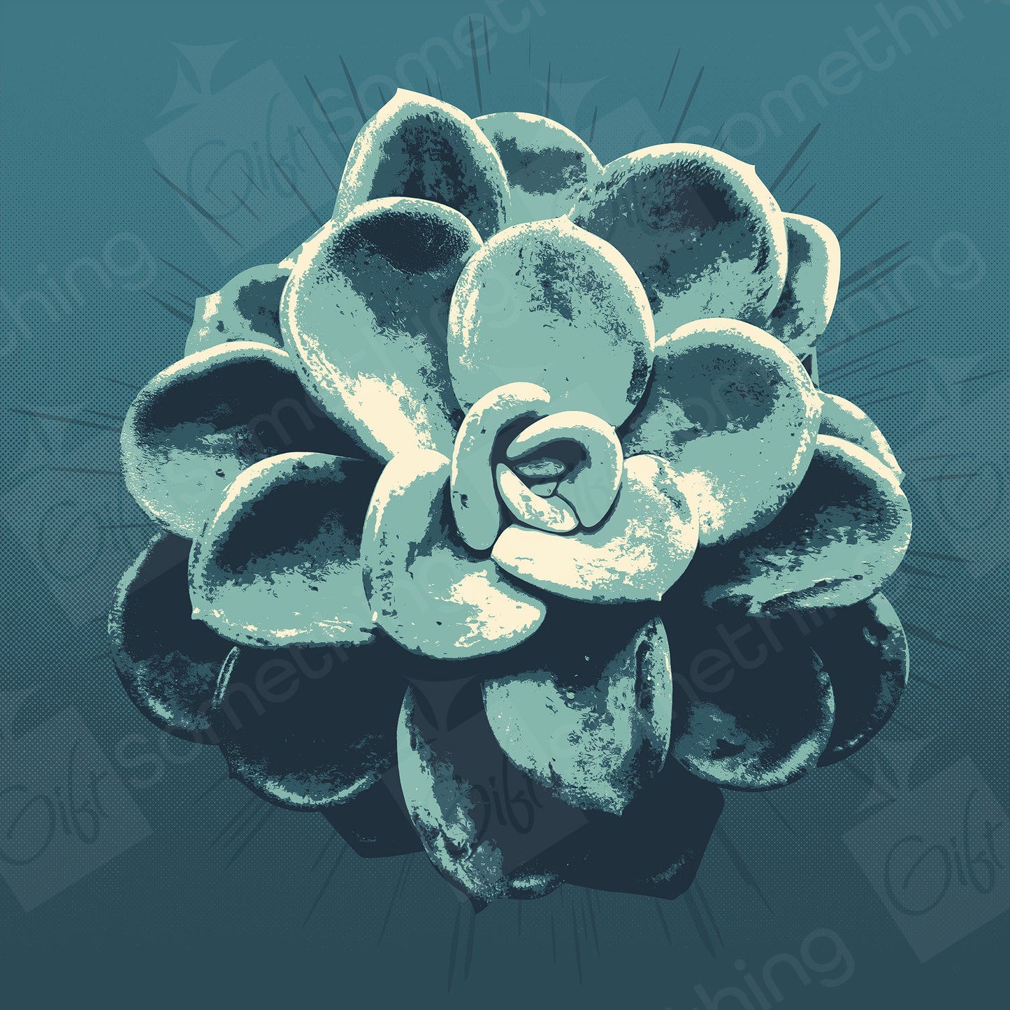 Pachyveria Orpet - Digital Download