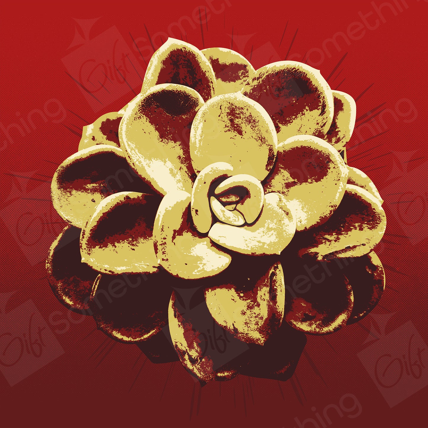 Pachyveria Orpet - Digital Download