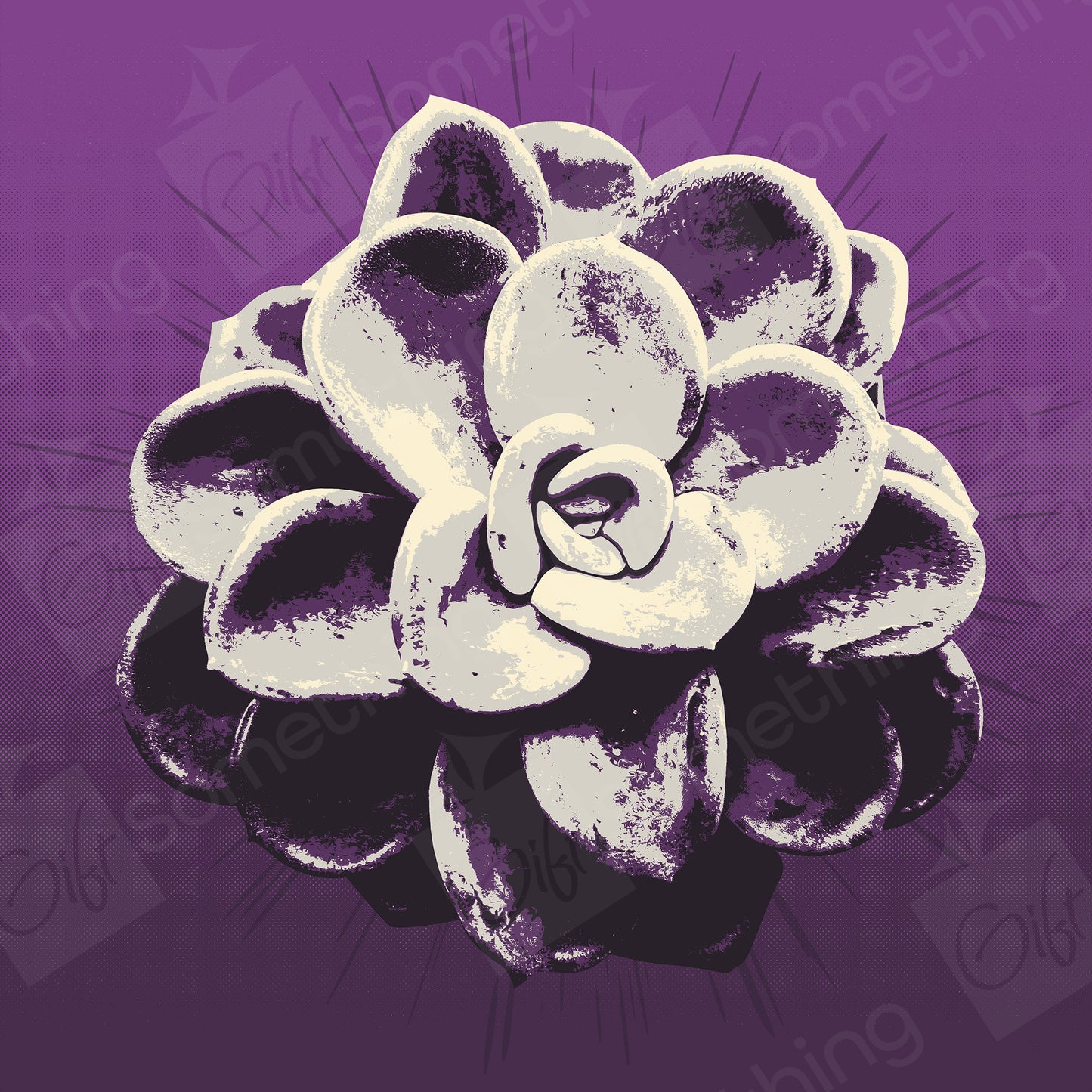 Pachyveria Orpet - Digital Download