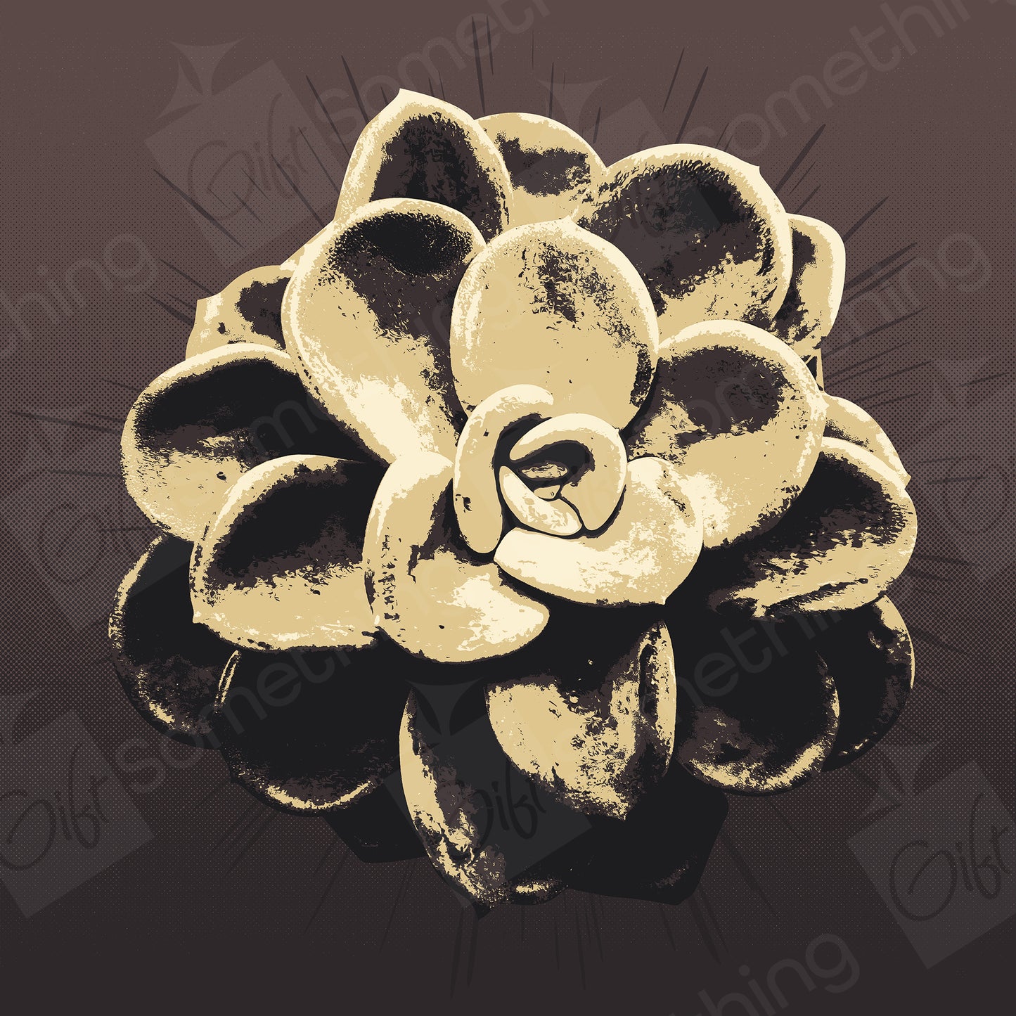Pachyveria Orpet - Digital Download