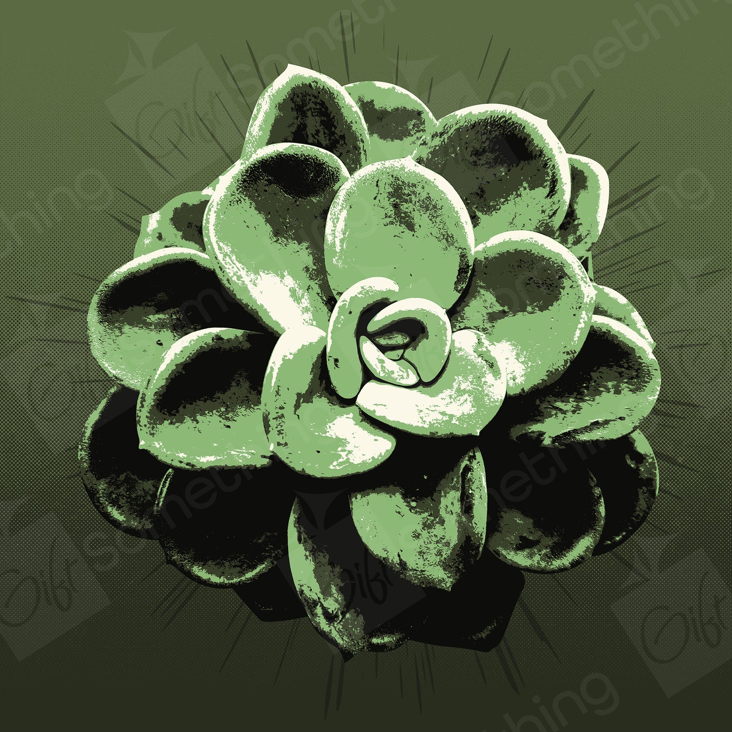 Pachyveria Orpet - Digital Download