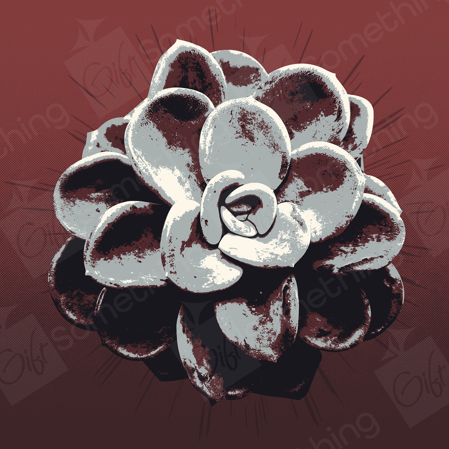 Pachyveria Orpet - Digital Download