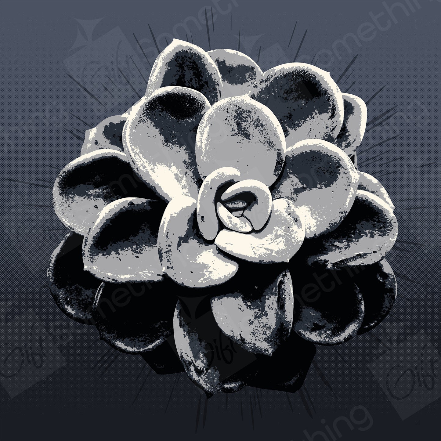 Pachyveria Orpet - Digital Download