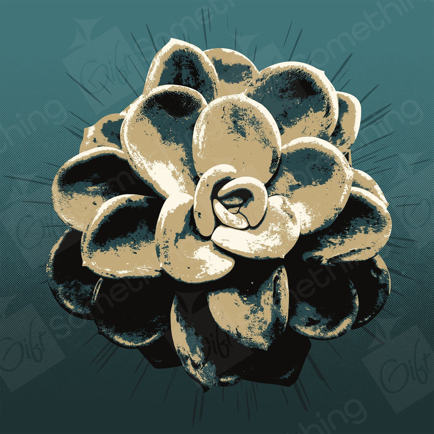 Pachyveria Orpet - Digital Download