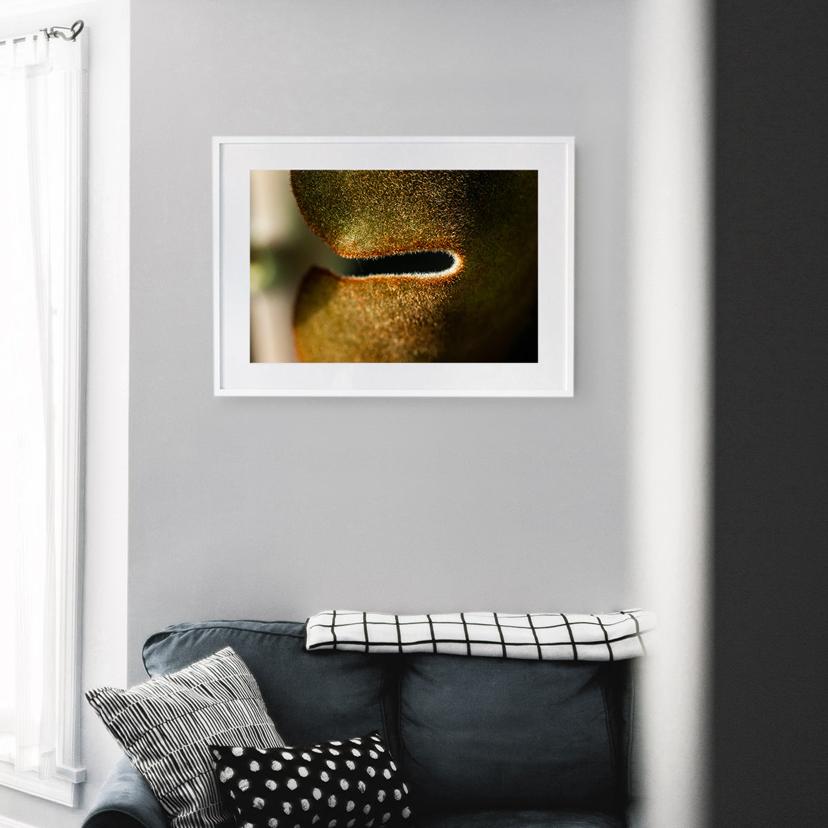 Macro image of Kalanchoe Beharensis succulent leaves, showcasing its rich brown colours, velvety texture, and scalloped edges, displayed as wall art in a modern living room setting.