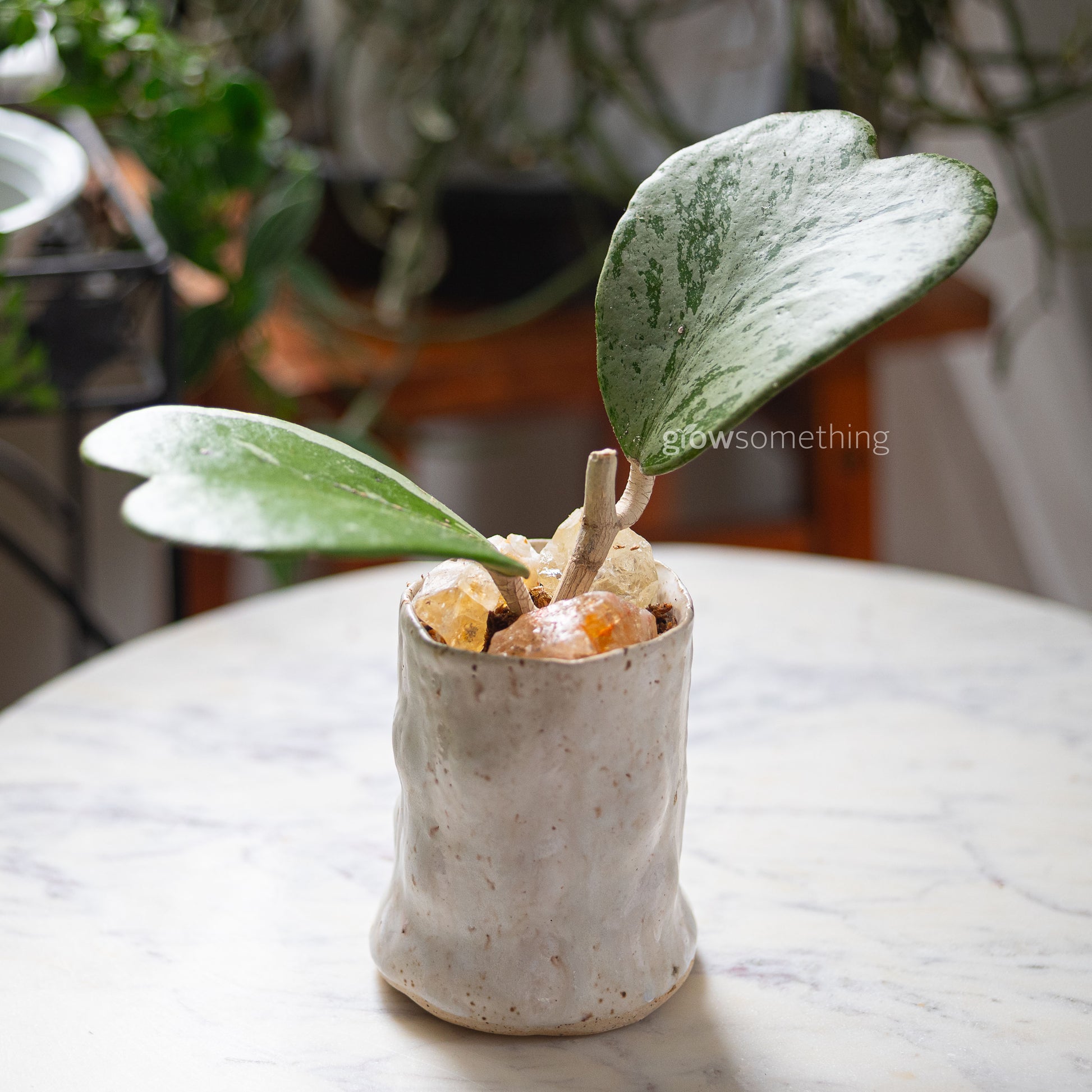 Hoya Kerrii Splash with heart-shaped leaves in sphagnum moss, topped with a citrine crystal, in a handmade ceramic pot by Rimmel Livera. Side view.