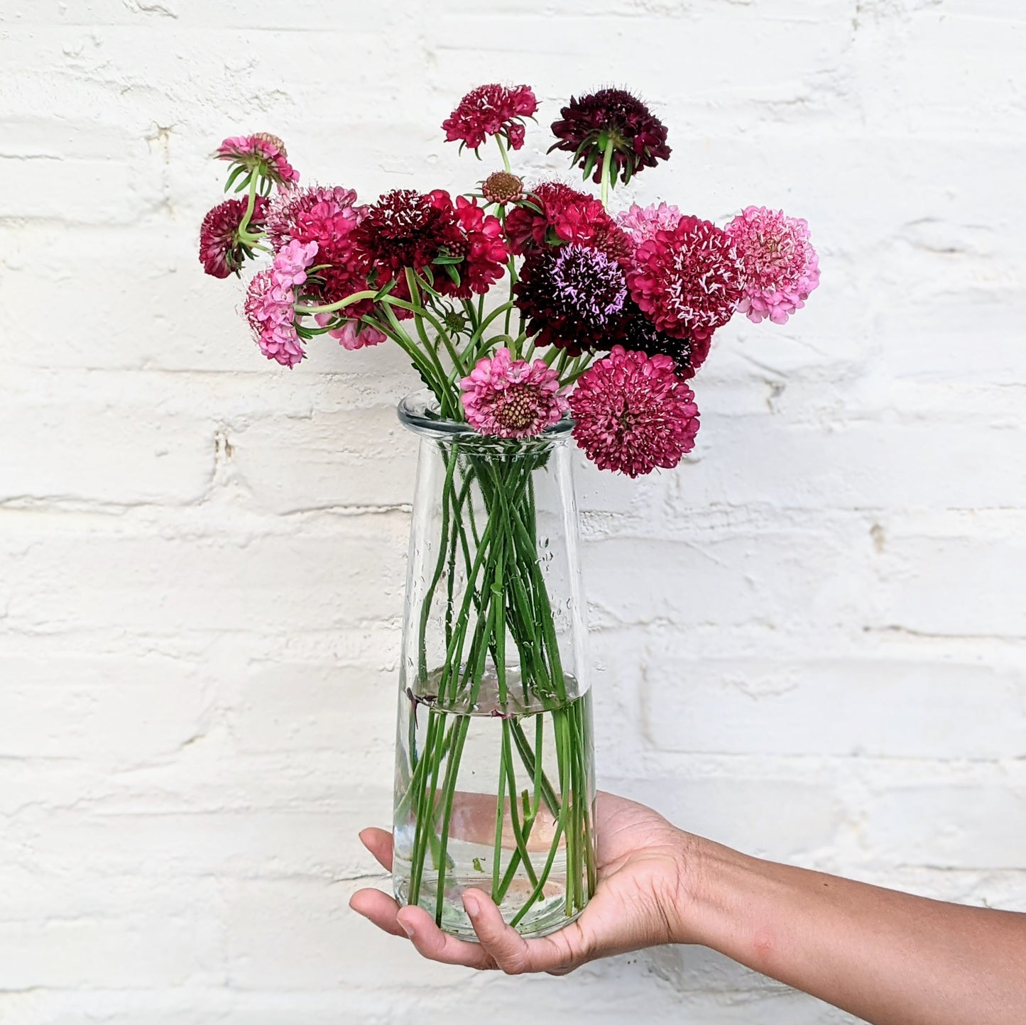 Flower Subscription Service