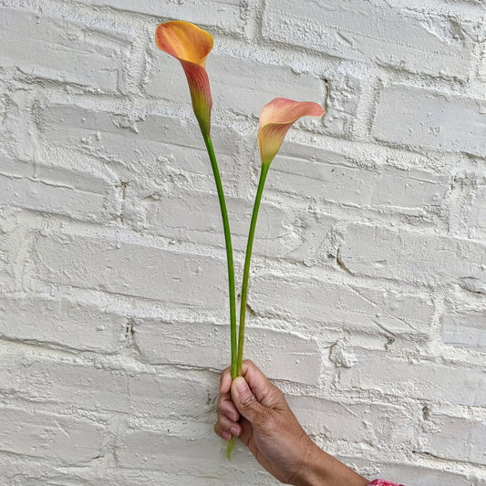Peach Calla Lily Bunches