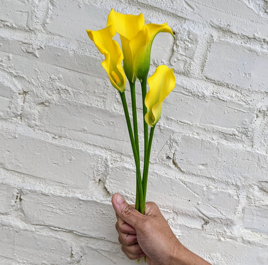 Yellow Calla Lily Bunches