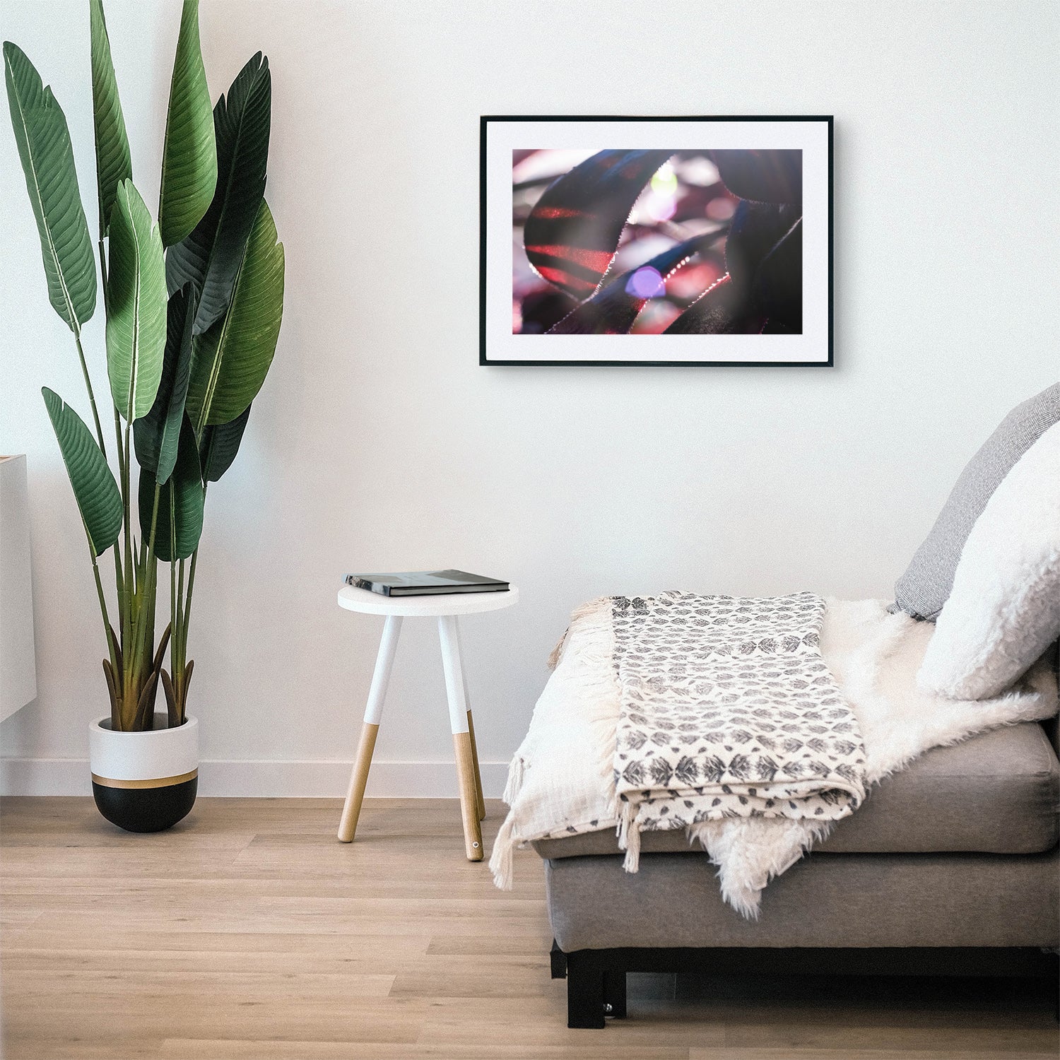 Close-up of Aeonium Schwarzkopf succulent with dark purple-black rosette-shaped leaves and sun flares in the background, displayed as wall art in a stylish modern living room setting.