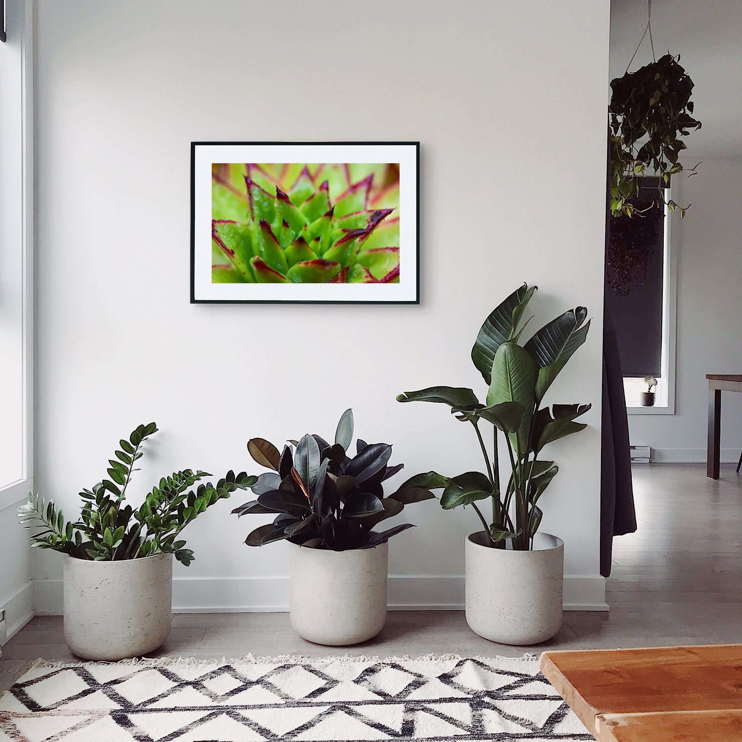 High-resolution photo of Echeveria Agavoides 'Lipstick', featuring its vibrant red-edged rosette, displayed as wall art in a modern living room with minimalist decor.