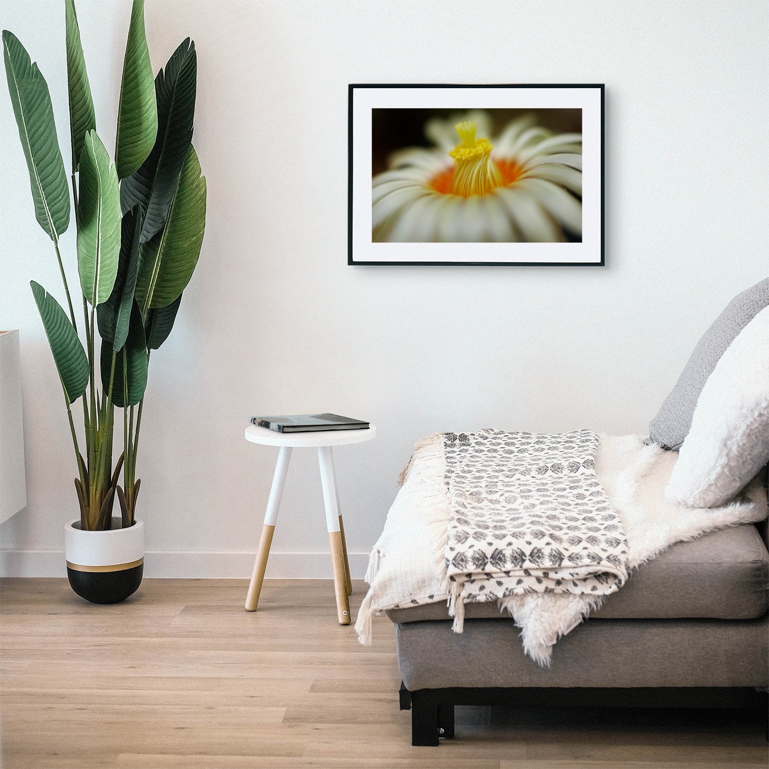 Close-up of Euphorbia Obesa flower, highlighting the stigma, flower petals, and visible pollen, displayed as wall art in a stylish modern living room setting.