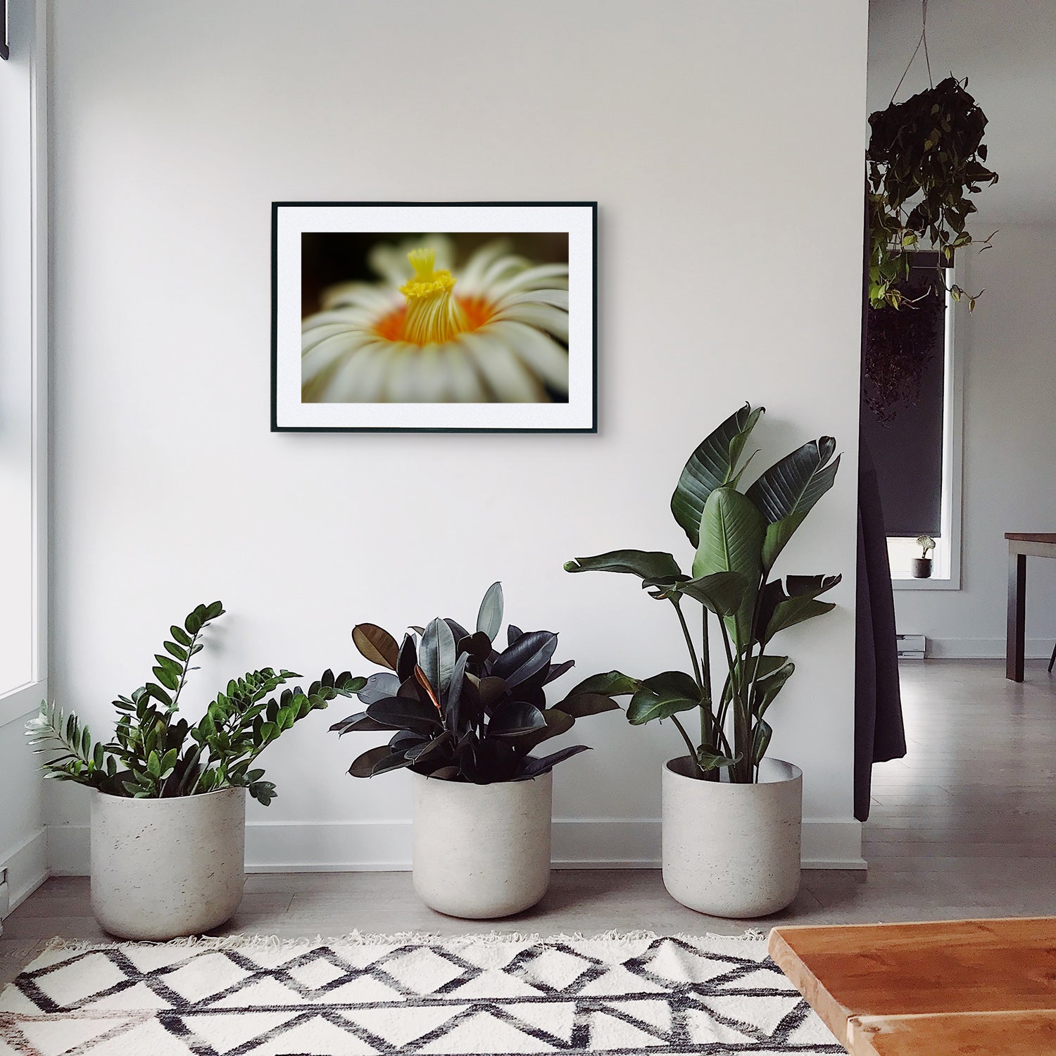 Close-up of Euphorbia Obesa flower, highlighting the stigma, flower petals, and visible pollen, displayed as wall art in a stylish hallway setting.