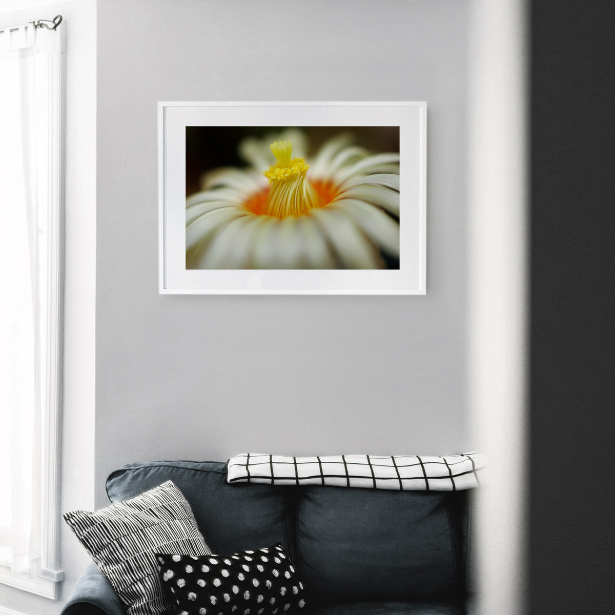 Close-up of Euphorbia Obesa flower, highlighting the stigma, flower petals, and visible pollen, displayed as wall art in a stylish modern living room setting.