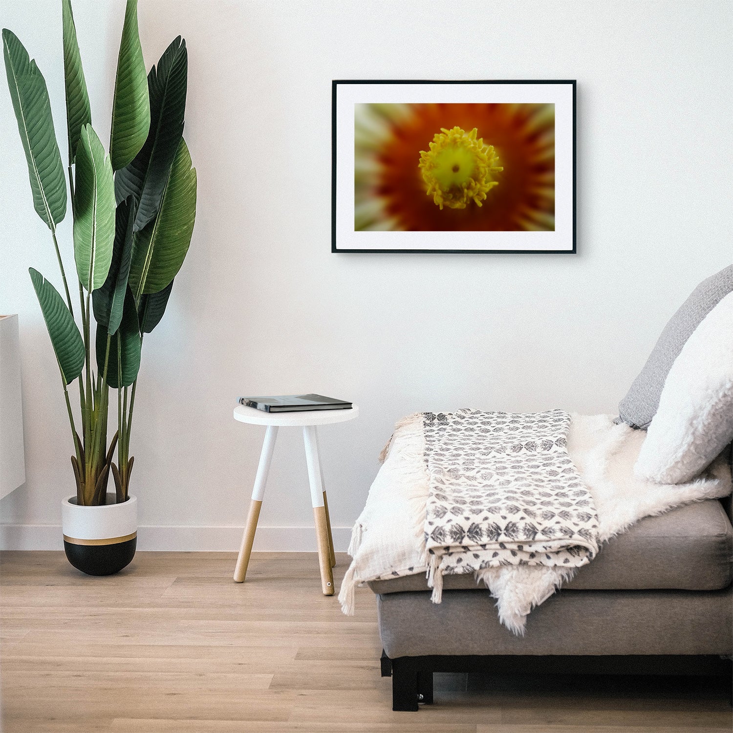 Close-up of Euphorbia Obesa flower stigma, showcasing the central reproductive part of the bloom with visible pollen, displayed as wall art in a stylish modern living room setting.