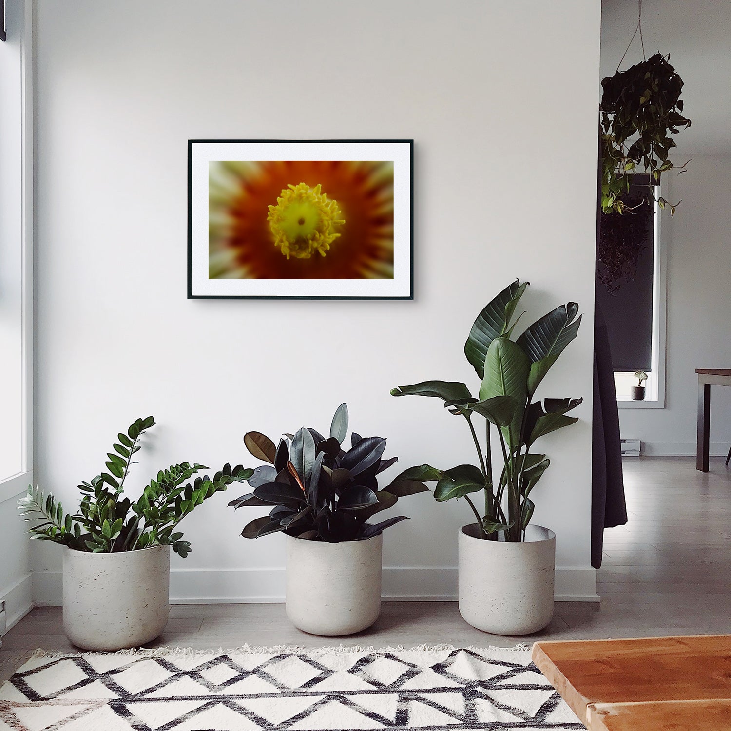 Close-up of Euphorbia Obesa flower stigma, showcasing the central reproductive part of the bloom with visible pollen, displayed as wall art in a stylish hallway setting.