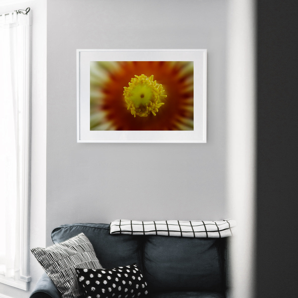 Close-up of Euphorbia Obesa flower stigma, showcasing the central reproductive part of the bloom with visible pollen, displayed as wall art in a stylish modern living room setting.