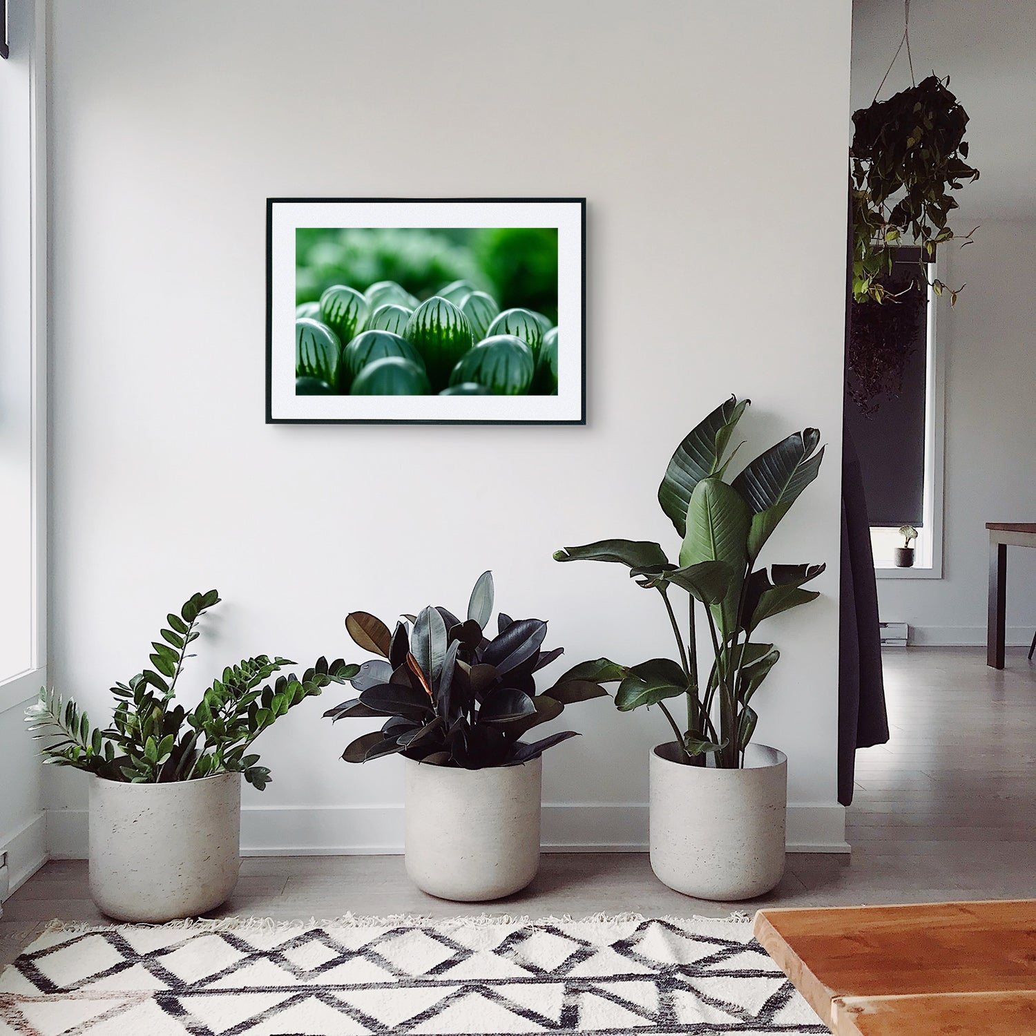 Close-up of Haworthia Cooperi succulent, showcasing its translucent, fleshy leaves in a compact rosette, displayed as wall art in a hallway setting with plants beside a window.