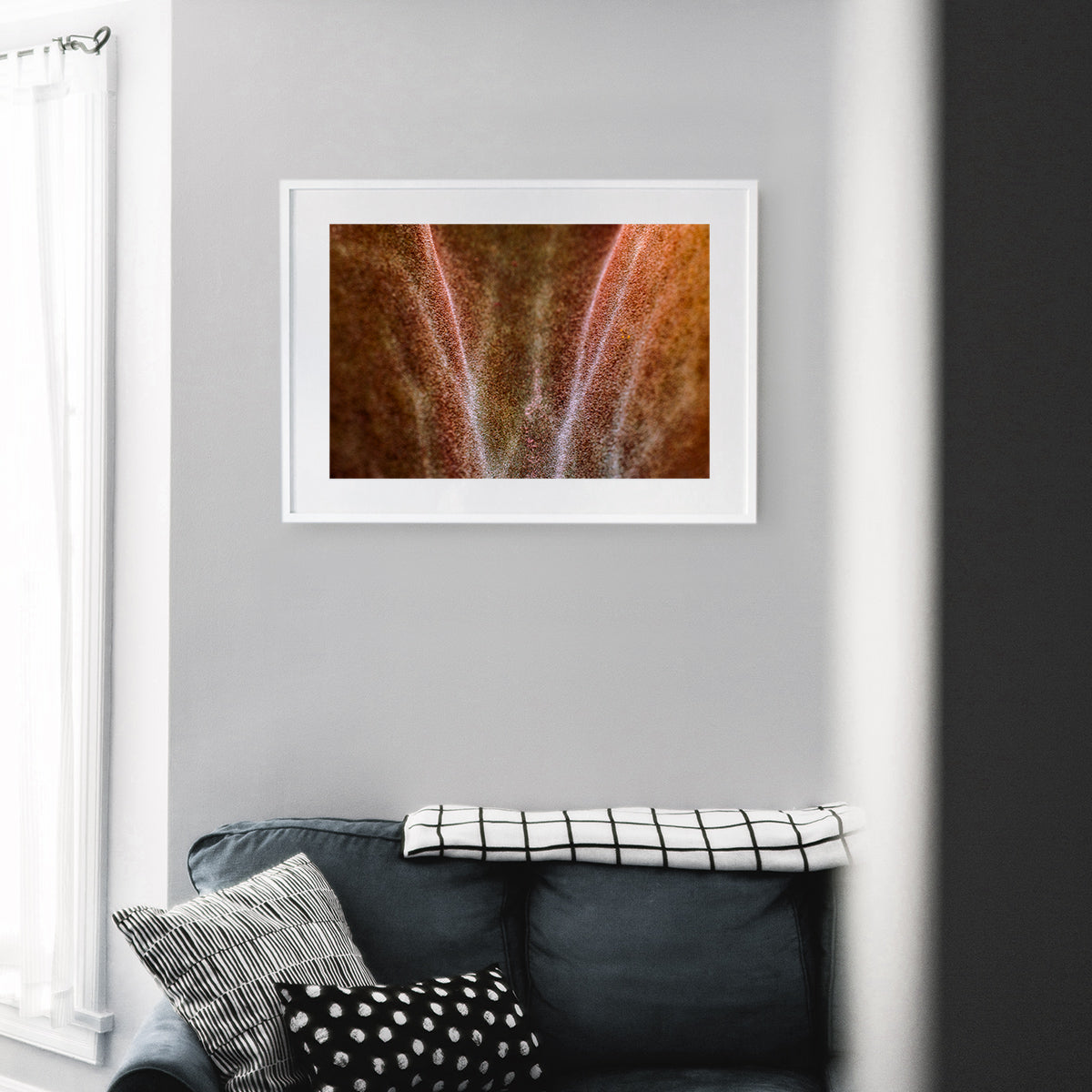 Macro shot of Kalanchoe Beharensis, also known as Velvet Elephant Ear, showcasing its velvety leaves with scalloped edges and shades of brown texture, displayed as wall art in a stylish living room with modern decor.