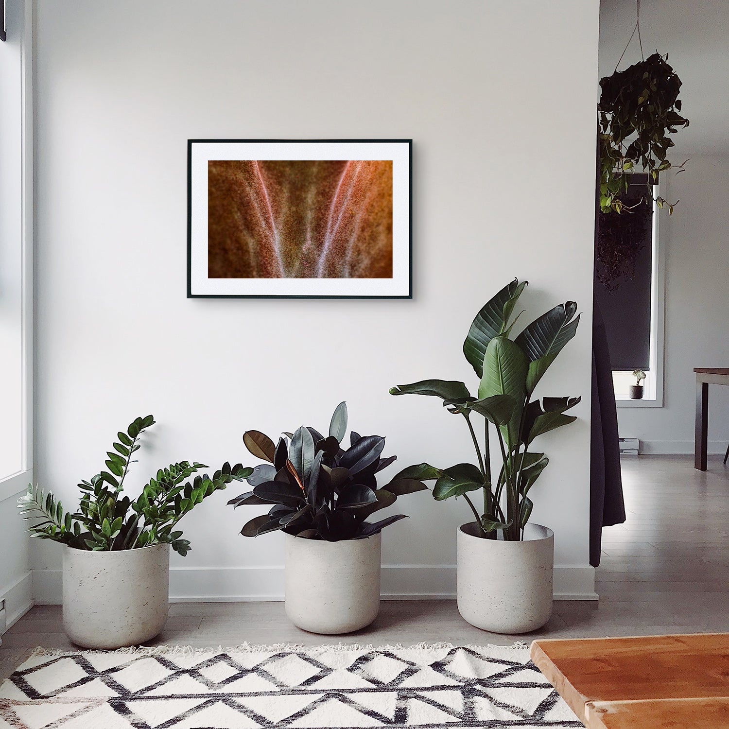 Macro shot of Kalanchoe Beharensis, also known as Velvet Elephant Ear, showcasing its velvety leaves with scalloped edges and shades of brown texture, displayed as wall art in a stylish living room with modern decor.